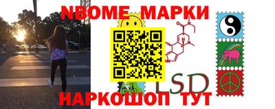 шишки Шелехов