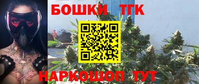 шишки Шелехов