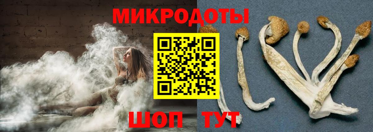 Псилоцибиновые грибы MAGIC MUSHROOMS  Псилоцибиновые грибы Psilocybine cubensis  Зеленодольск  Вход с VPN 